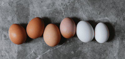 What is the Egg Donor’s Overall Role in Surrogacy?